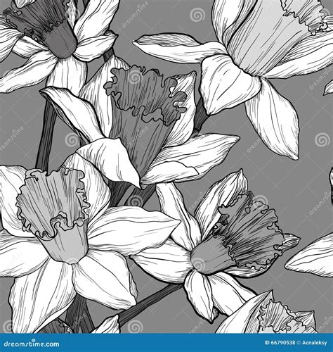 Vector Seamless Floral Pattern With Narcissus Stock Vector