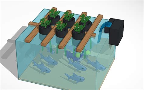 3d Design Copy Of Aquarium Tinkercad