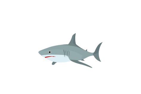 Shark Illustration Realis Vector Graphic By Riaspengantin Creative