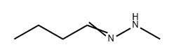 Butanal 2 Methylhydrazone 59352 91 9