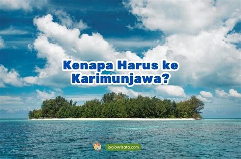 5 Alasan Wisata Karimunjawa Wajib Masuk Bucket List Kamu Joglo Wisata