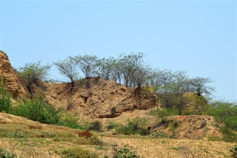 Chambal Ravines Stock Photos Free And Royalty Free Stock Photos From