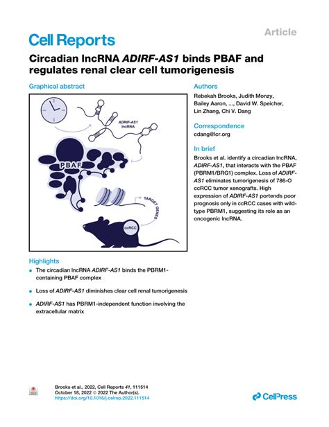 PDF Circadian LncRNA ADIRF AS1 Binds PBAF And Regulates Renal Clear