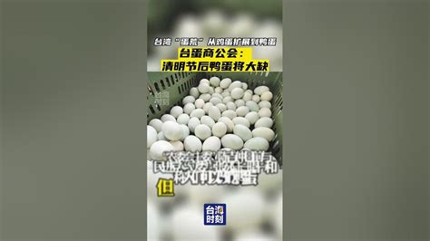 台灣「蛋荒」從雞蛋擴展到鴨蛋，台蛋商公會：清明節後鴨蛋將大缺 台海時刻 Youtube