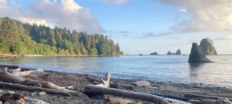 Best Time To Visit Olympic National Park