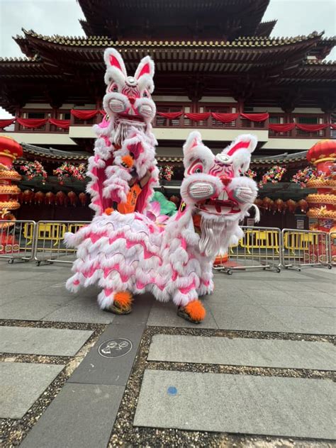 Spore Lion Dance Troupe Trots Out Adorable Rabbit Themed Lion Dance