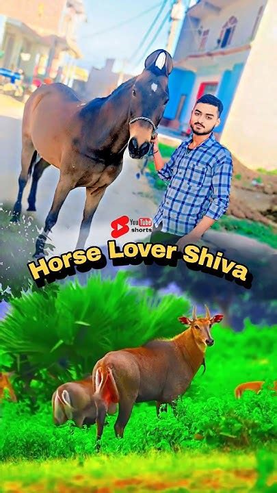 नीलगाय ओर घोडी दोनों एक साथ 😍😍😍 Trending Life Viral Horsefan