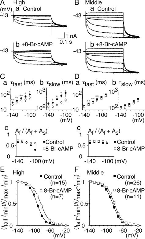 Figure 1 From Hyperpolarization Activated Cyclic Nucleotide Gated