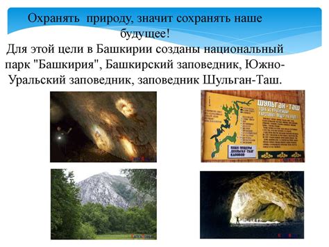Книга природы родного края. Башкортостан - презентация онлайн