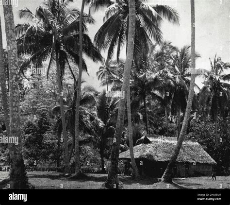 Tulagi island 1942 hi-res stock photography and images - Alamy