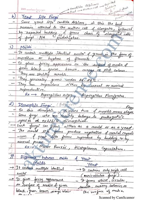 Solution Microbiology Unit 3 Handwritten Notes Studypool