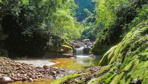 Parques Nacionales Poco Conocidos De Argentina