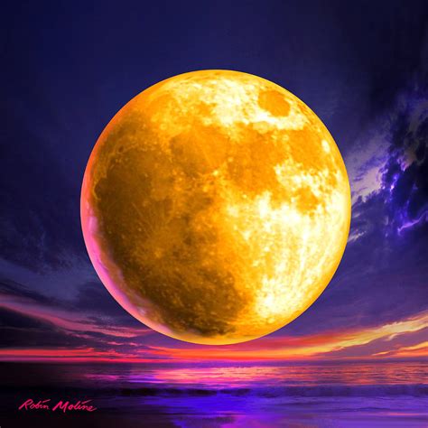 Whole Of The Moon Digital Art by Robin Moline