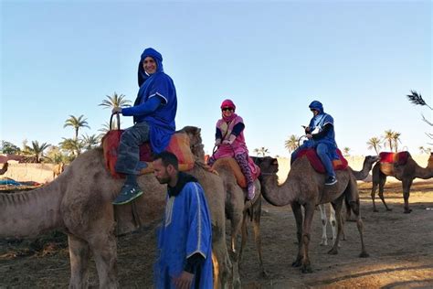 Marrakech Palm Grove Camel Ride Hellotickets