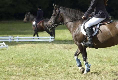 Horse riding lessons stock image. Image of riding, horse - 15881511