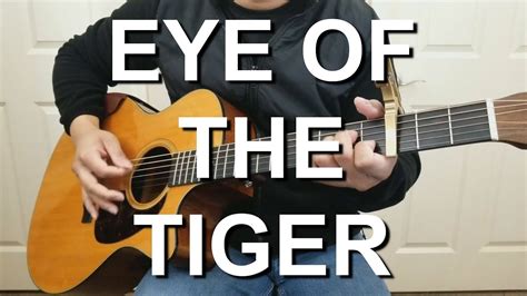 Eye Of The Tiger Survivor Fingerstyle Guitar Youtube