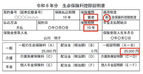 令和6年分 保険料控除申告書の書き方と記入例、効率化のポイント｜obc360°｜【勘定奉行のobc】