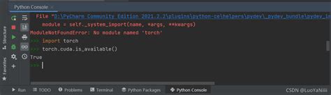 Pycharm Torch Traceback Python