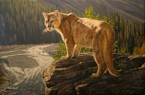 Cougar Painting By Bruce Miller Art Wildlife Wild Cats Pinter