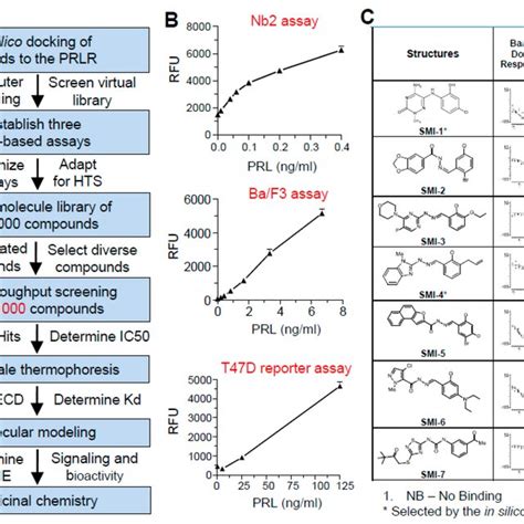 Strategy For High Throughput Screening Hts And Molecular Download Scientific Diagram