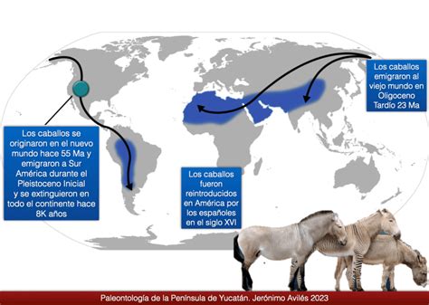 Horses: Findings of their origins and evolution.