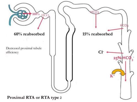 Renal Tubular Acidosis