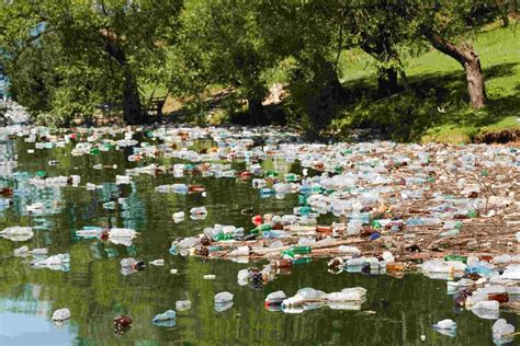 approfondire La spiaggia spirito plastic pollution water bottles Devastare vuoto indossare