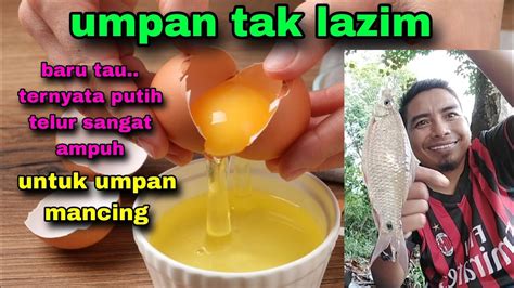 Bukan Kaleng Kaleng Resep Umpan Dari Subscribers Ini Memang Joss