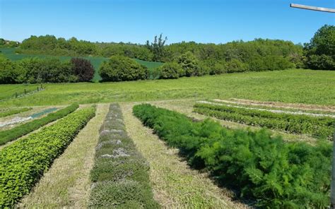 Jardin Redim 2 Terres De Pilou