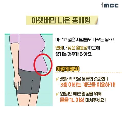 뱃살 유형별로 빼는 법 4