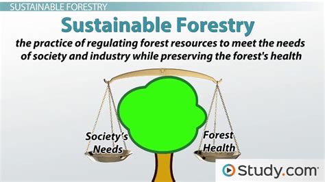 Economic Sustainability Definition