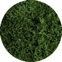 Types of Preserved Moss | Quiet Earth Moss