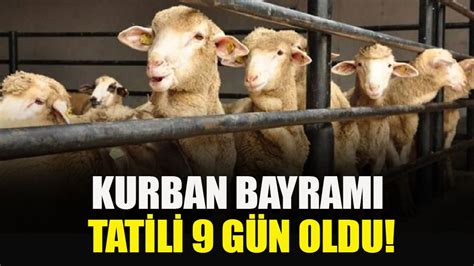 2023 Kurban Bayramı ne zaman Bayram tatili kaç gün olacak İttifak