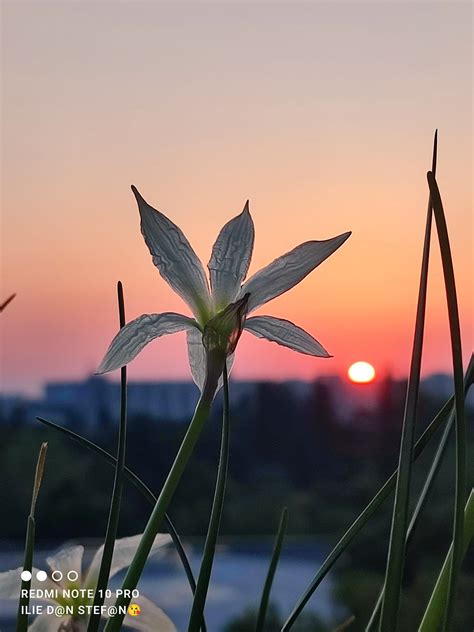 B365 FOTO Un bărbat a realizat mai multe fotografii cu răsăritul