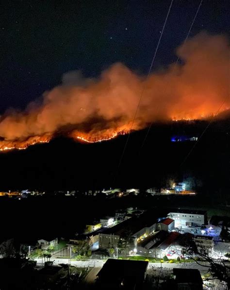 Incendio a Montegrino Valtravaglia il fuoco dà una tregua Distrutti