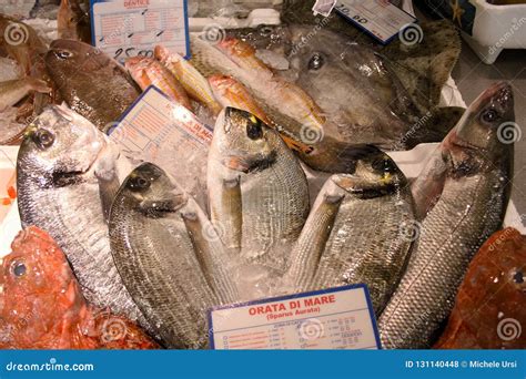 Fish Market With Fresh Various Fishes Stock Photo Image Of Health