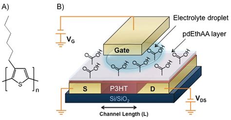 Electronics Free Full Text Electrolytic Gated Organic Field Effect