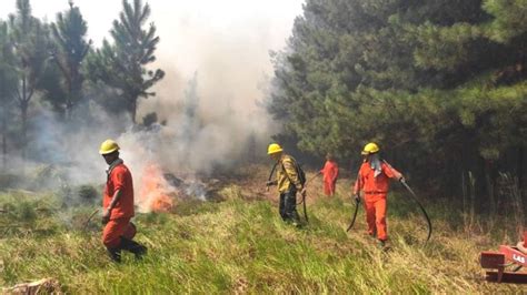 Incendios en Corrientes miles de evacuados y más de 500 mil hectáreas