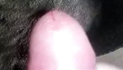 Multicum Porn Videos Gay XXX 2024 XHamster