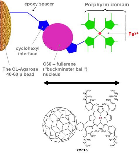 A Spacer Ligand Complex Proposed For Affinity Chromatography Of The Download Scientific Diagram