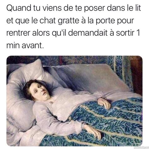 Quand Tu Viens De Te Poser Dans Le Lit Et Que Le Chat Gratte La Porte