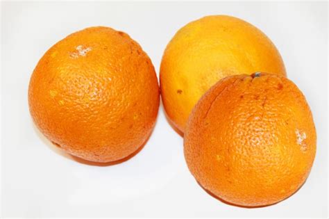 Premium Photo Moldy Orange Fruit Isolated On White Background Rotten