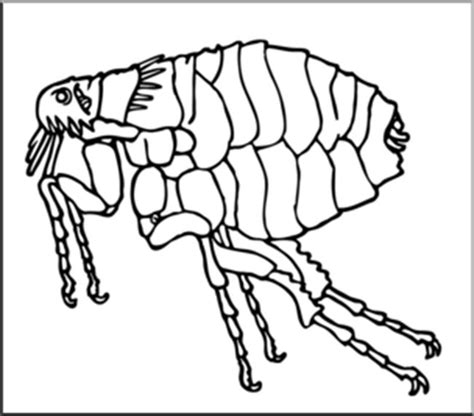 Total Imagem Desenhos De Pulga Br Thptnganamst Edu Vn