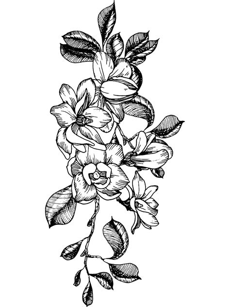 50 Floral Adult Coloring Pages Etsy