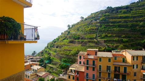 Where to Stay in Manarola: Best neighborhoods | Expedia