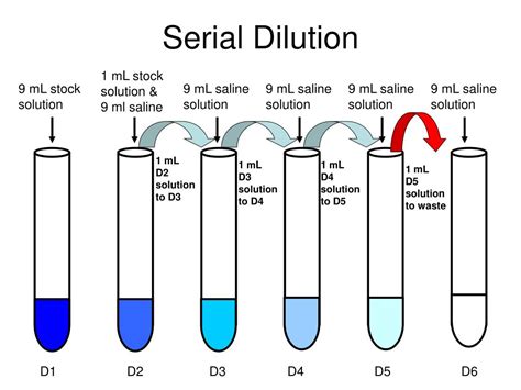 Serial Dilution Calculation