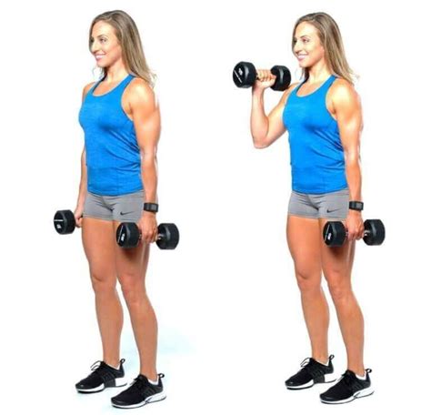 Dumbbell Hammer Curl In Dumbbell Bicep Workout Biceps Workout Hot Sex Picture