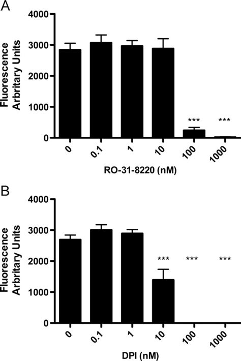 Effect Of Dpi And Ro 31 8220 On Net Formation Cells Were Plated As