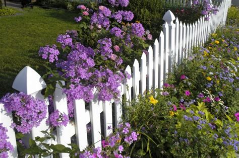 White Picket Fence Garden Ideas That Will Make You Say Wow Top Dreamer