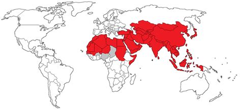 Orient and Occident – Perceptual and Complementary Macro-Regions by ...